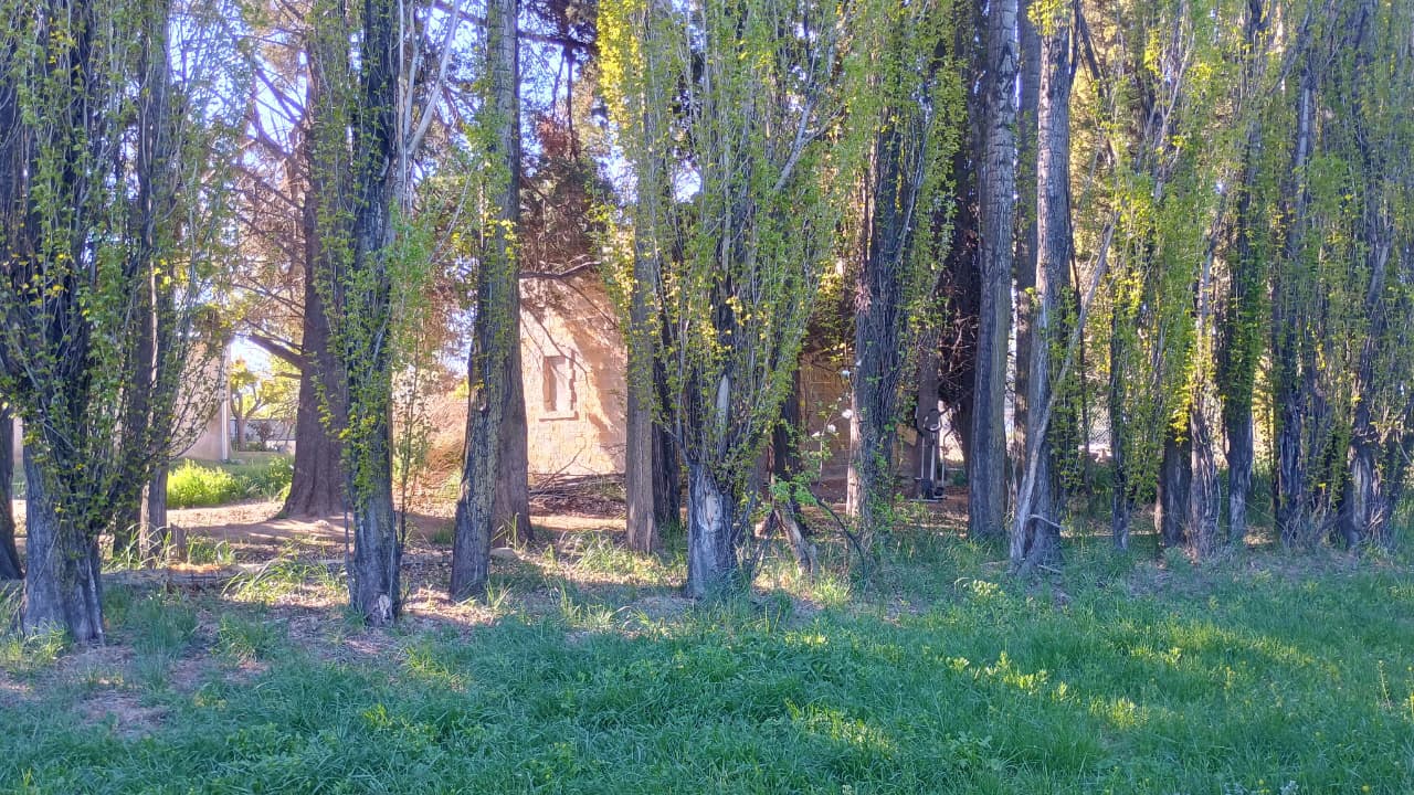 Casa 3 dormitorios – Loteo Hendre – Trelew – foto 21